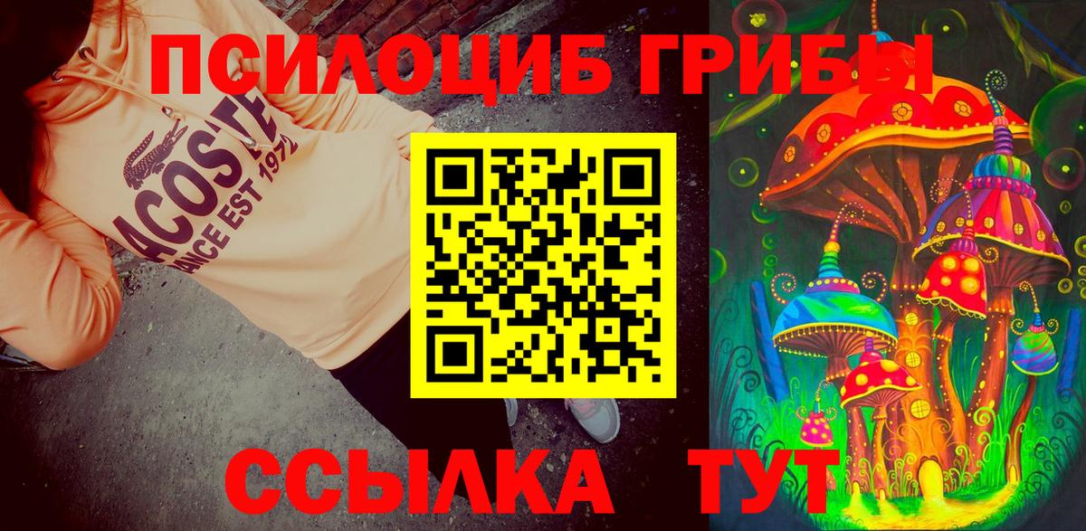 Псилоцибиновые грибы MAGIC MUSHROOMS  Вход с VPN  Галлюциногенные грибы Psilocybe  наркотики  Коммунар 