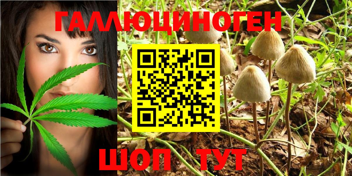 Галлюциногенные грибы MAGIC MUSHROOMS Коммунар